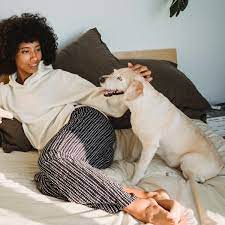 There are many different types of pet sitting jobs on care.com. Pet Sitter Job Description