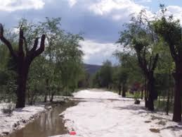 El observador meteorológico, mario navarro en diálogo con la movida de la tarde en am 810 anunció que caería nieve en córdoba. En Fotos El Granizo Que Cayo Sobre Nono Ciudadanos La Voz Del Interior
