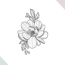 Dessin d'ensemble de fleur de lys photo en noir et blanc isolé sur fond blanc une fleur à fleurs de lys fleurs du jardin d'été. 1001 Images De Dessin De Fleur Pour Apprendre A Dessiner