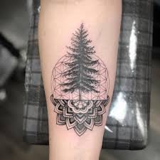 Simple And Easy Pine Tree Tattoo Designs Meanings 2019 Tattoos For Women Tattoos For Guys Tattoos Tree Tattoo Arm Half Sleeve Tattoo Full Sleeve Tattoos