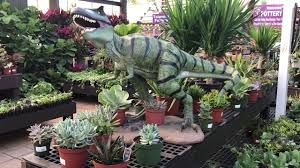 Check out our flamingo nursery art selection for the very best in unique or custom, handmade pieces from our принты shops. Flamingo Road Nursery Succulents And Strawberry Plants Youtube
