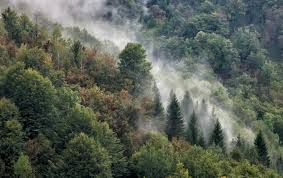 The area of the park is 63.5 km2 and covers the central part of the mountain massifs of risnjak and snježnik, as well as the source of the river kupa with its upper course. National Park Risnjak Eastwood Vision