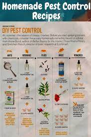 Pin On Guardianschoice Pest Control