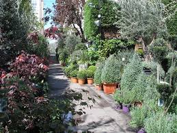 A Great Welcome To The Nursery Garden Styles Clifton Nurseries Garden Center