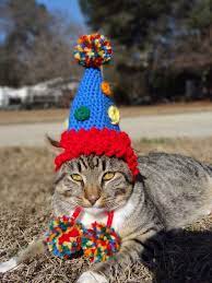 kittens with hats mittens tig isleri orgu