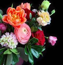 Bloomen is your greater toronto area florist of choice. Best 6 In Toronto Floral Shops View The Vibe Toronto