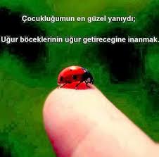 Oguz Topoglu Cocuklugumun En Guzel Yaniydi Ugur Boceklerinin Ug Ugur Bocekleri Ilham Verici Sozler Ilham Veren Sozler