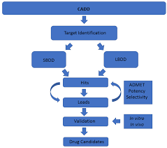 In drug discovery, ai helps in predicting the efficacy and safety of molecules and gives researchers a much broader chemical pallet for the selection of the best molecules for drug testing and keywords. Marine Drugs Free Full Text Computer Aided Drug Design Applied To Marine Drug Discovery Meridianins As Alzheimer S Disease Therapeutic Agents