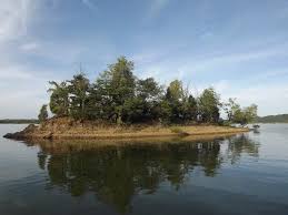Maybe you would like to learn more about one of these? Swann S Marina Douglas Lake Natural Landmarks Vacation