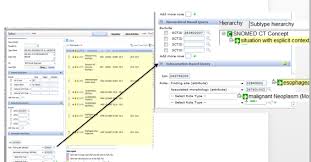 Kaiser Permanente Decision Support With Snomed Ct Snomed