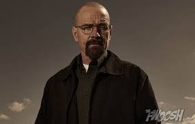 He is widely famous for portraying walter white in the amc crime drama series breaking bad, hal in the tv series malcolm in the middle and dr. The Real Reason Not To Trust Walter White Action Figures Fwoosh