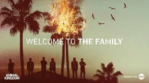 Pin By Gacktotica On Animal Kingdom Tnt Animal Kingdom Tnt Animal Kingdom Welcome To The Family