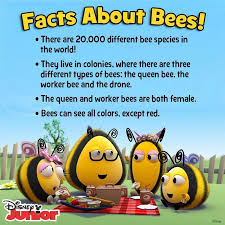 Pin By Tiffanie Klein On Highlights Disney Junior Bee Facts Bee Activities Bee Keeping