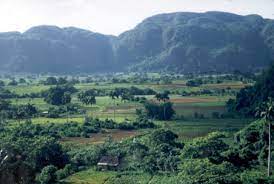 Vuelta abajo is the main source of tobacco for habanos, and the only region that grows all . Unesco Welterbe Vuelta Abajo Manuel S Shop