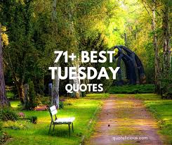 Best tuesday quotes selected by thousands of our users! 73 Inspiring Tuesday Quotes And Sayings With Images Quotelicious