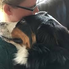 260 eugene road, kelowna (bc), v1x2m2, canada. Piper Knows Best