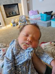 Tara Leone (@tlhaircreations) • Instagram photos and videos