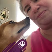 Construction continues at Center City Courtyard in downtown Rochester! The  new, 164-unit apartment complex is scheduled to open this year, and  residency applications will be available soon!