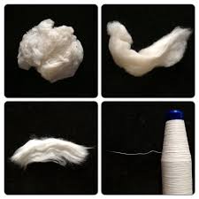 Planet Money Makes A T Shirt Planet Money Baby Hairstyles Purwakarta