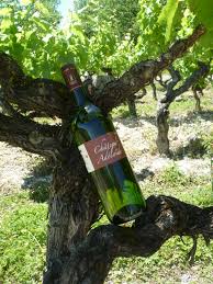 Toute l'info concernant la fête des vins de gaillac. Vin Gaillac Doux Chateau Adelaide Cuvee Tradition Doux