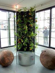 Aquaponic Vertical Vegetable Garden Indoor Aquaponics Vertical Vegetable Garden Backyard Aquaponics