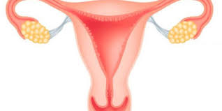 We did not find results for: Ø­Ø¨ÙˆØ¨ Ù„Ø²ÙŠØ§Ø¯Ø© Ø§Ù„Ø·ÙˆÙ„ ÙÙŠ Ø§Ù„ØµÙŠØ¯Ù„ÙŠØ© ÙÙŠ Ø§Ù„Ù…ØºØ±Ø¨ Ø­Ø¨ÙˆØ¨ Ù„Ø²ÙŠØ§Ø¯Ø© Ø§Ù„Ø·ÙˆÙ„ ÙÙŠ Ø§Ù„ØµÙŠØ¯Ù„ÙŠØ© Ø§Ù„Ø¹Ø§Ù„Ù…ÙŠÙ‡