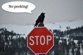 This covers everything from disney, to harry potter, and even emma stone movies, so get ready. Corvid Trivia Quiz