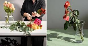Visit our online store, delivering bouquets, arrangements, plants and gifts across sydney daily. How To Take Care Of Roses In A Vase Balcony Garden Web