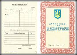 Kadastrovyj Nomer Document057