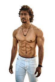 Tiger Shroff Png Hd Six Pack Photo Your Png Free Png Images Stock Tiger Shroff Tiger Bollywood Actors