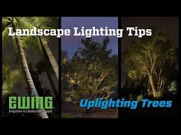 Landscape Lighting Tips Uplighting Trees Youtube