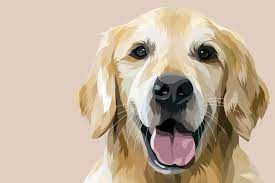 Di indonesia, cacing ini sering ditemukan pada anjing dan kucing (karmil, 2002). Dog Vector Art Cartoon Pet Animal Anjing Fiverr Fiverrseller Gig Dog Portraits Art Dog Paintings Golden Retriever Illustration