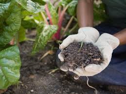 The soil you grow in is the basis of your garden and will play a large part in determining whether your garden is successful or not. Can You Mix Potting Soil With Garden Soil Hgtv