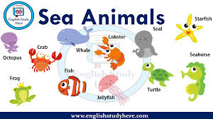 Sea Animals Names In English Whale Crab Octopus Lobster Seal Starfish Frog Fish Jellyfish Turtle Seahorse English Study Sea Animals Animals Name In English