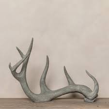 To find out more about silberhorn sportsvel (deer velvet capsules) and its benefits please feel free to visit us at silberhorn.co.nz and keep in touch. Deer Antler Decoration Antler Table Ornament Motta Living