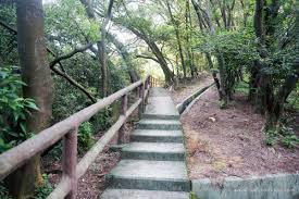 青衣自然径是一条位于葵青区，香港的步道，他的长度为5.1km (大约7,000步) ，爬升高度为213m，难度评级中等 。用pacer app发现更多优质路线吧! é'è¡£è‡ªç„¶å¾' é'æ¬£å±± 1 é¦™æ¸¯å±±èªŒ