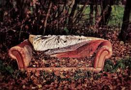 Schimmel von unterseite der matratze entfernen. Schimmel Auf Dem Sofa Entfernen Schimmel Entfernen