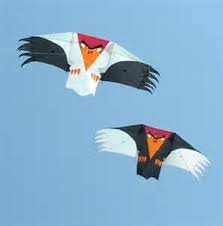 A Rather Original Idea For Bird Kites Basing Them On A Genki Like Structure Tip Feathers And Tail Feather Extension Create A Gr Go Fly A Kite Kite Bird Kite