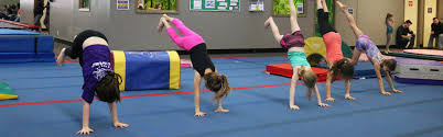 gymnastics open gym for kids the