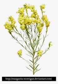 To created add 18 pieces, transparent watercolor flowers images of your project files with the background cleaned. Yellow Flower Png Free Hd Yellow Flower Transparent Image Pngkit