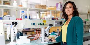 Ana martins (aka anané ) is a singer, model, dj, and philanthropist. Eine Mikrobiologin Fur Schreibabys Eth Zurich