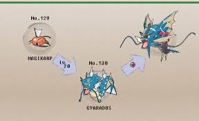 53 Valid Pokemon When Does Magikarp Evolve