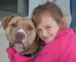 And the Winner is... Youth Helping the Homeless Pets