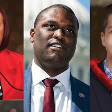 LGBTQ+ People Elected in Record Numbers But Still Underrepresented