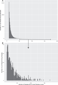 Image result for Neuracanthus africanus