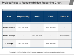 project roles and responsibilities reporting chart