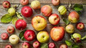 Join facebook to connect with kames aofel and others you may know. Der Apfel Das Hausmittel Schlechthin Bio Mio