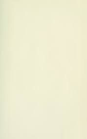 Image result for Syngonanthus longibracteatus