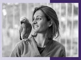 Also, online training will be available if you are selected. High Paying Jobs Not In An Office Monster Com