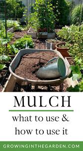 • avoid buying cypress mulch. Mulching Your Garden What To Use How To Use It Growing In The Garden